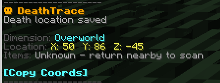 Chat Information