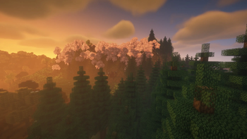 Biome showcase