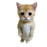 Sad cat totem