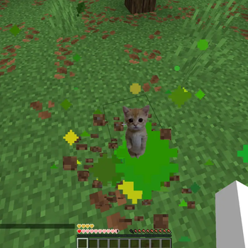 Pop