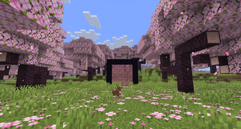 Pink Portal