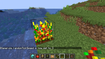 Random Crop Last Stage