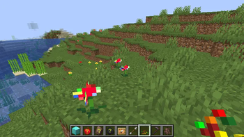 Flower Of Randomness