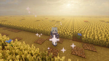 golden fields