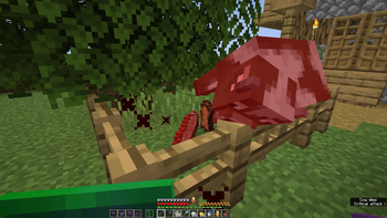 One cow being hit