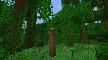 Jungle biome with new foliage