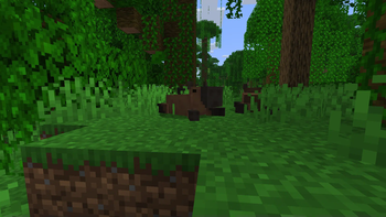 Capybara laying down