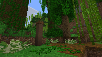 Bamboo jungle biome with new foliage 