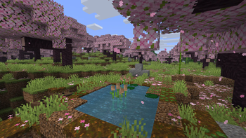 Cherrygrove upgrade