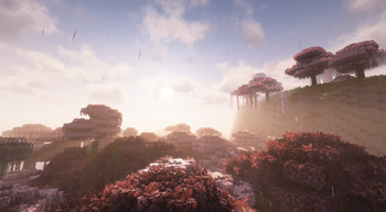 Beautiful biomes