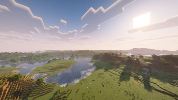 The view!