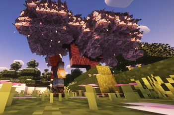 Explore the beauty of nature!