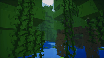 Mangrove Tree