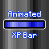 Animated Blue XP Bar
