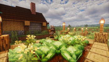 EwMedieval Modpack Screenshot 5