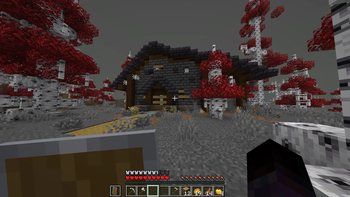 Casa do Zedin?