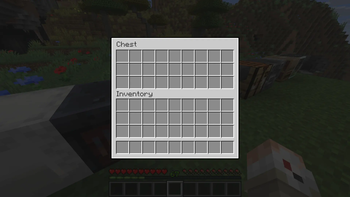Chest