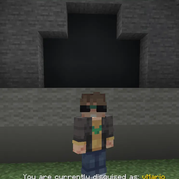 zMDisguise — screenshot 1