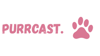 PurrCast Logo Banner