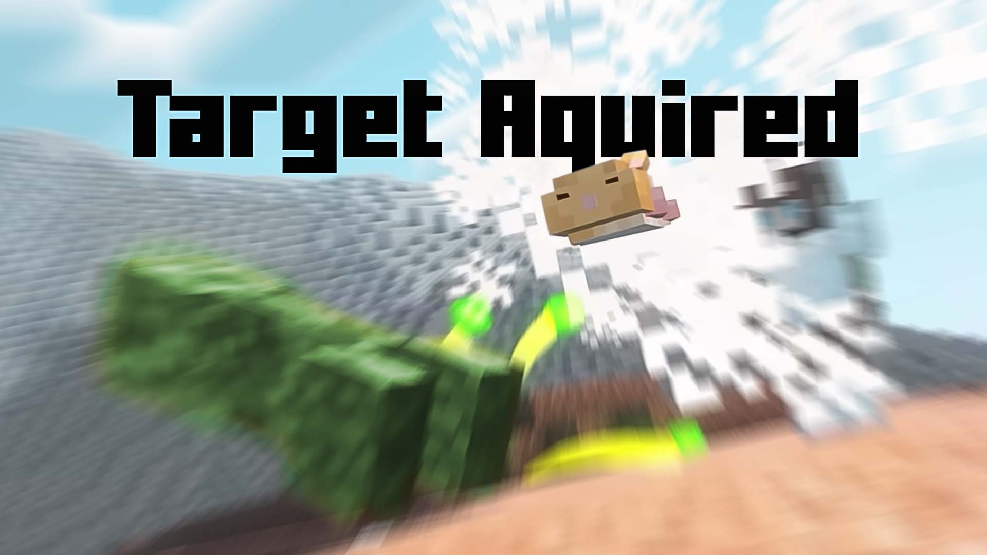 The Hamster Yeet™