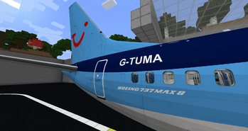 TUI Tail