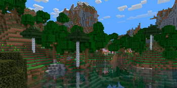 forest 