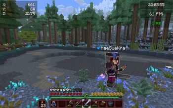 Play with Friends!