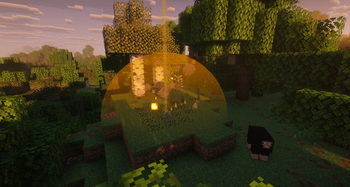 See what Blocks will break