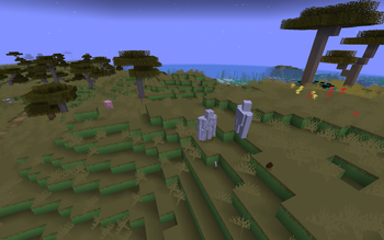 Golems and pig