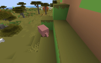 Armadillo