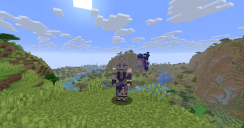 Third person view