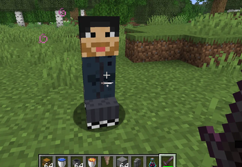Ingame look