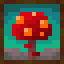 Mushrooms Variations - V&V's