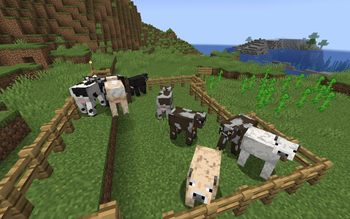 Random mob variants