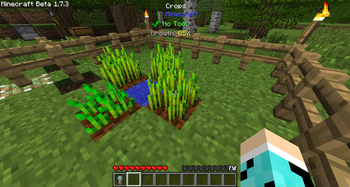 Crop Growth Information