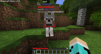 Wolf Owner Information