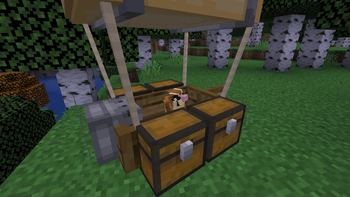 Go on long voyages!