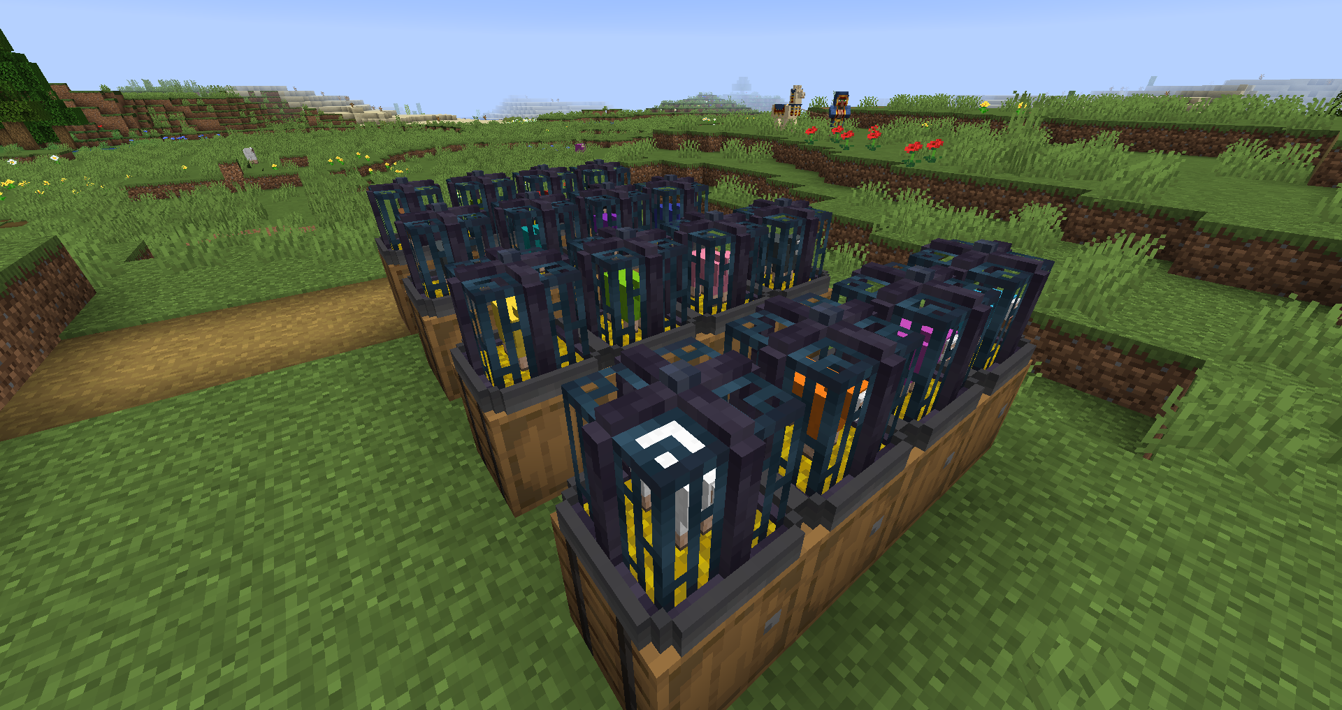 Mob Cage with dyed sheep