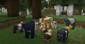 Birch and Dark Forest Variants