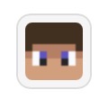 Bloxd.io Blocks