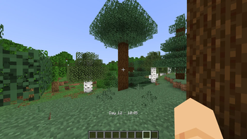 DCP With Default Settings