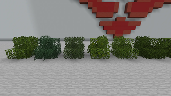 Bushy leaves