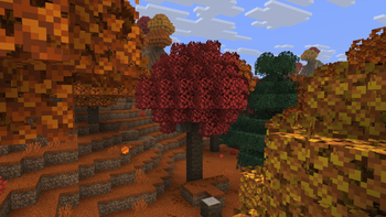A Dappled Forest