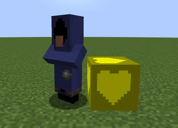 New Villager