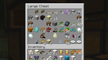 Chest