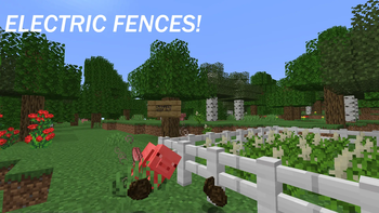 Electric Fences!