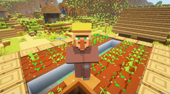 villager animation
