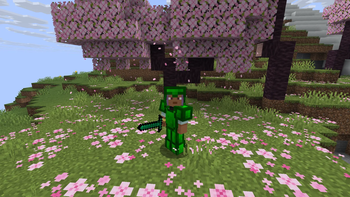 armor