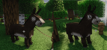 Holy moly donkey with no eyes