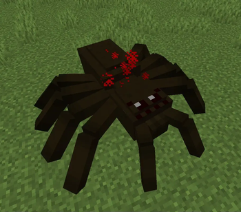 Angry Tarantula